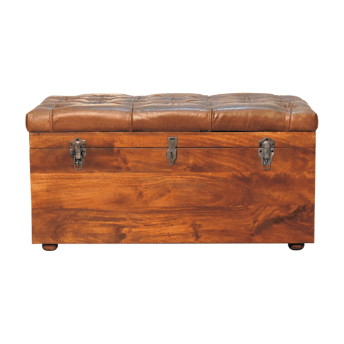 Buffalo Hide Chestnut Storage Trunk ArtisanFurniture.in